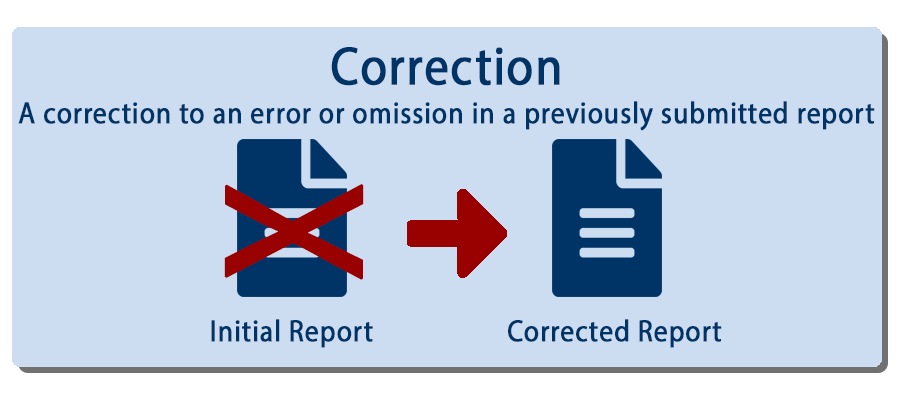 Correction Report Image