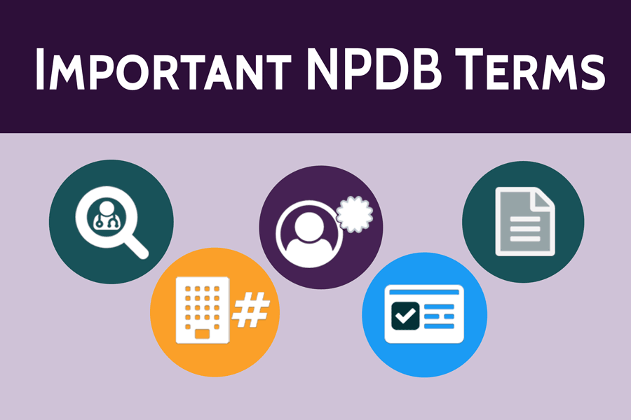 Important NPDB Terms Infographic