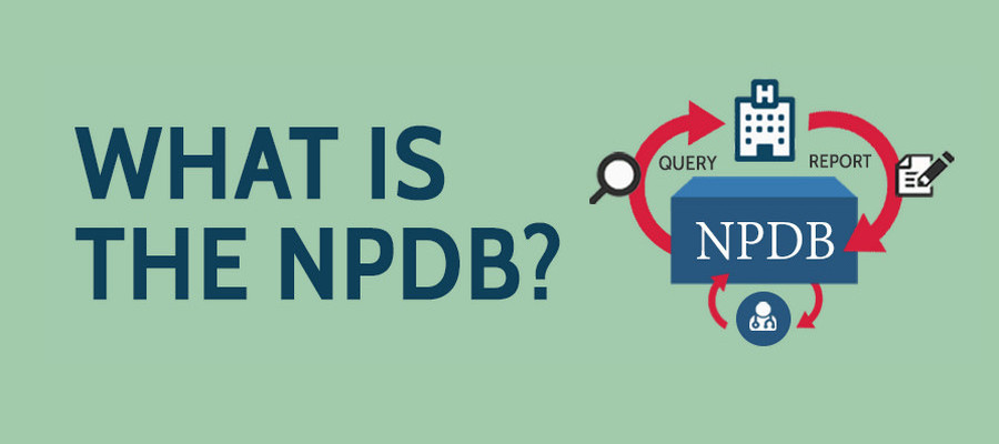 What is the NPDB? infograpic preview