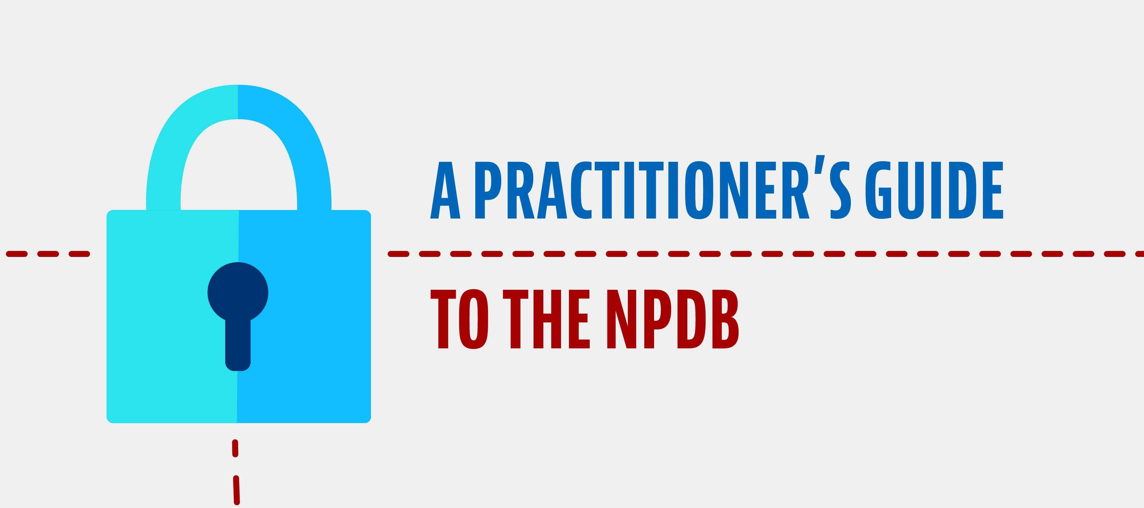 Practitioner's Guide to the NPDB