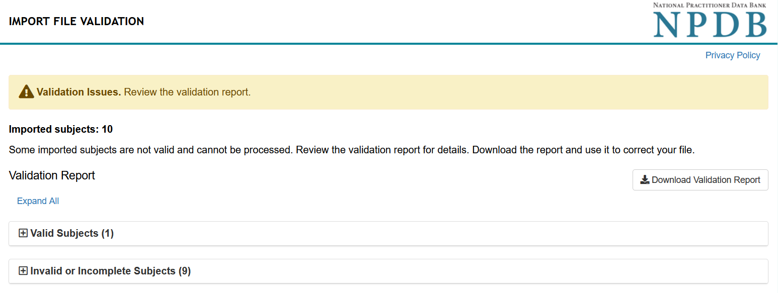 Screenshot of the Import File Validation Page
