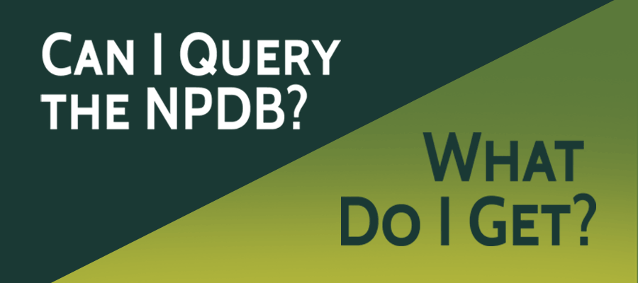 Mini image of the NPDB Infographic for Can I Query the NPDB